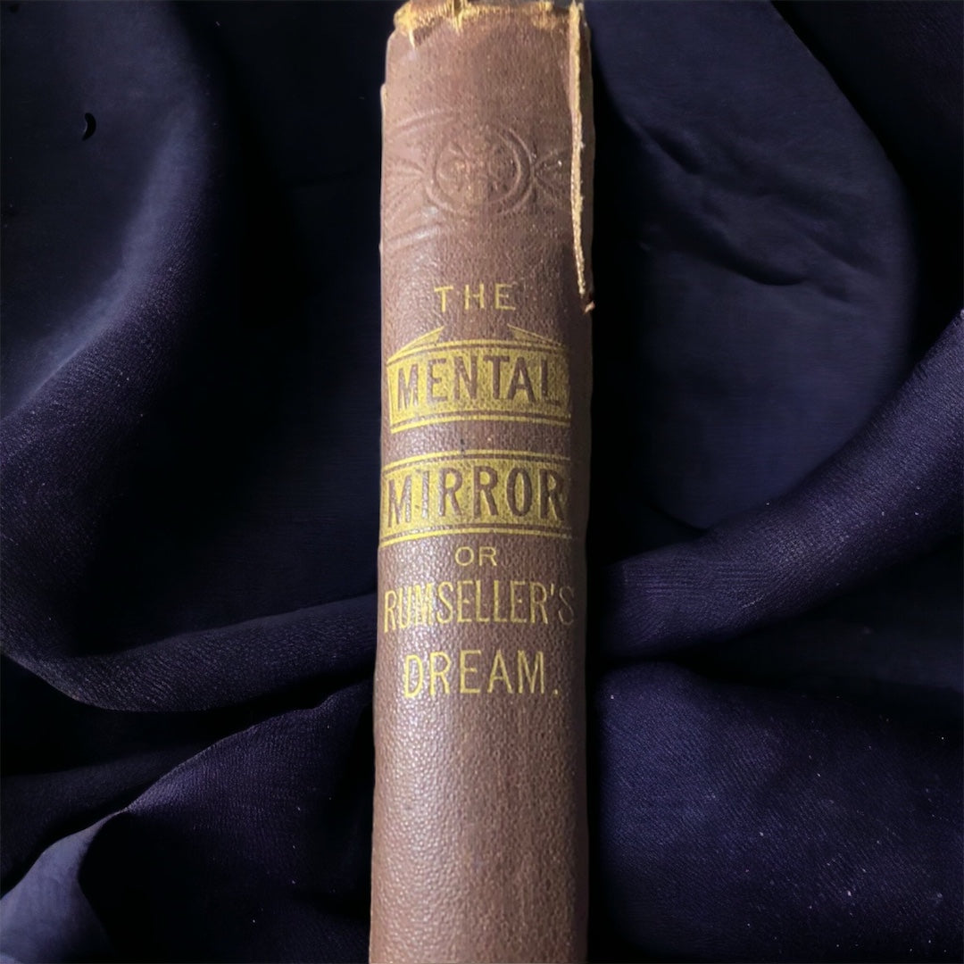 The Mental Mirror Or Rumseller's Dream by J. Leander, 1877 (First Edition)