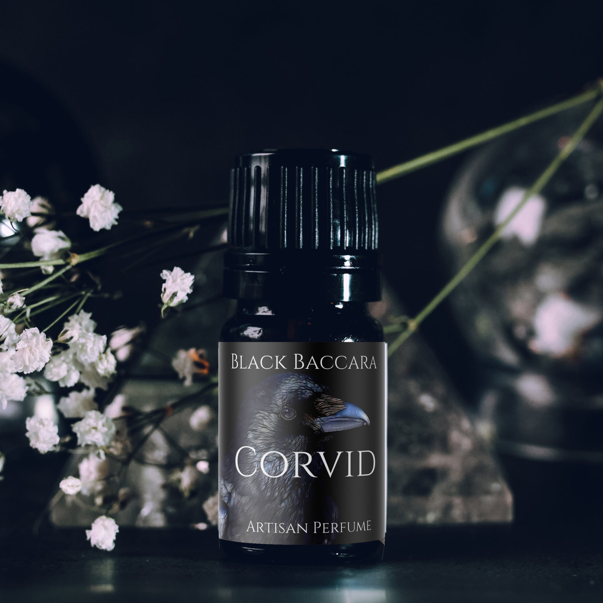 Corvid perfume oil
