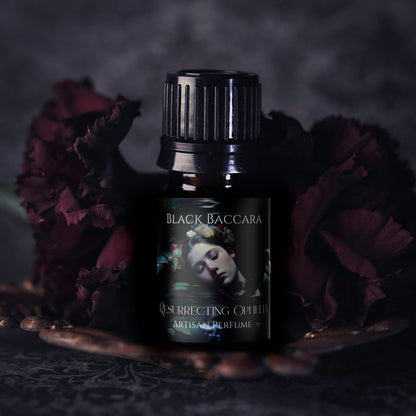 Ophelia perfume